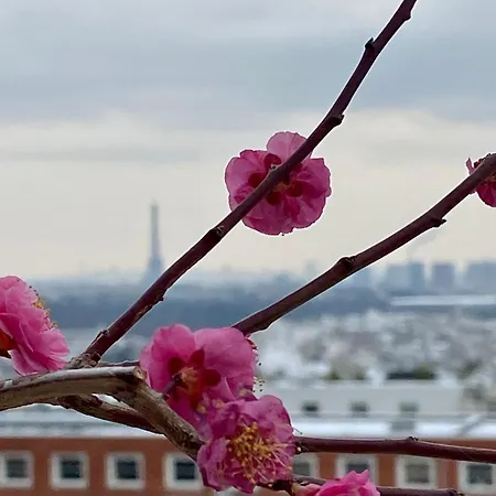 Ananda Huo Homestay Paris